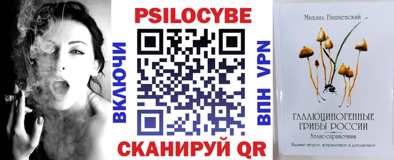 Галлюциногенные грибы Psilocybine cubensis  Купить где  Мураши 