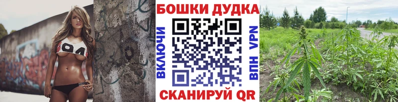 Купить  Мураши  МАРИХУАНА план 